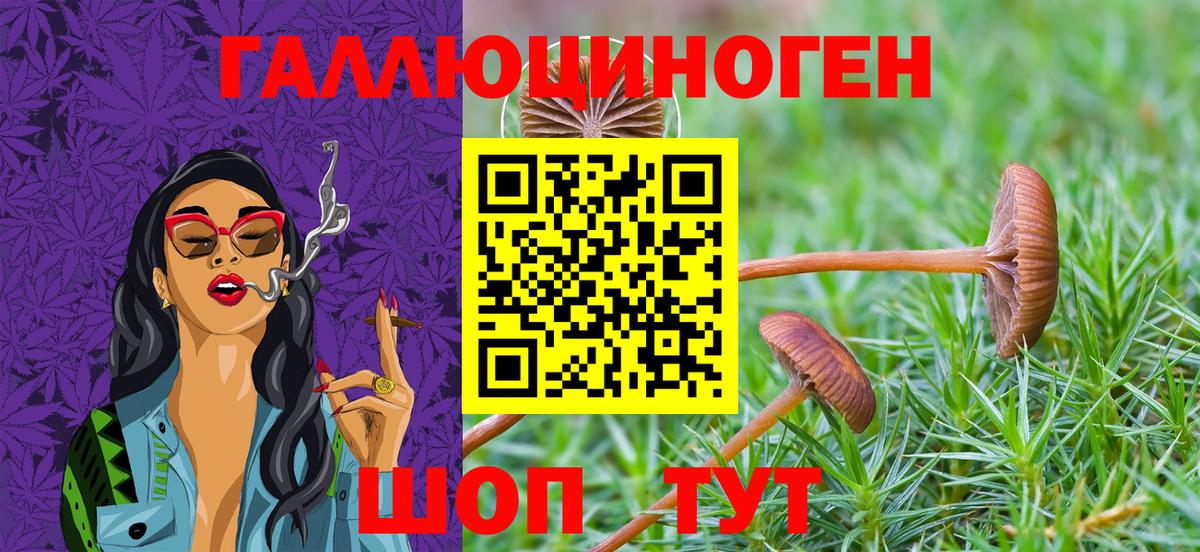 Псилоцибиновые грибы Magic Shrooms Королёв